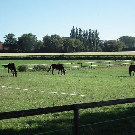 Ferienwohnung "Landblick" Ludinghausen Buitenkant foto