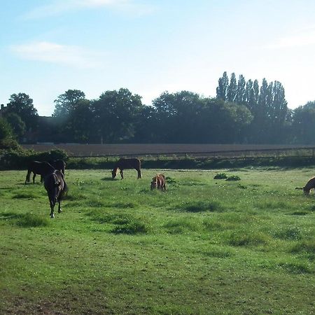 Ferienwohnung "Landblick" Ludinghausen Buitenkant foto