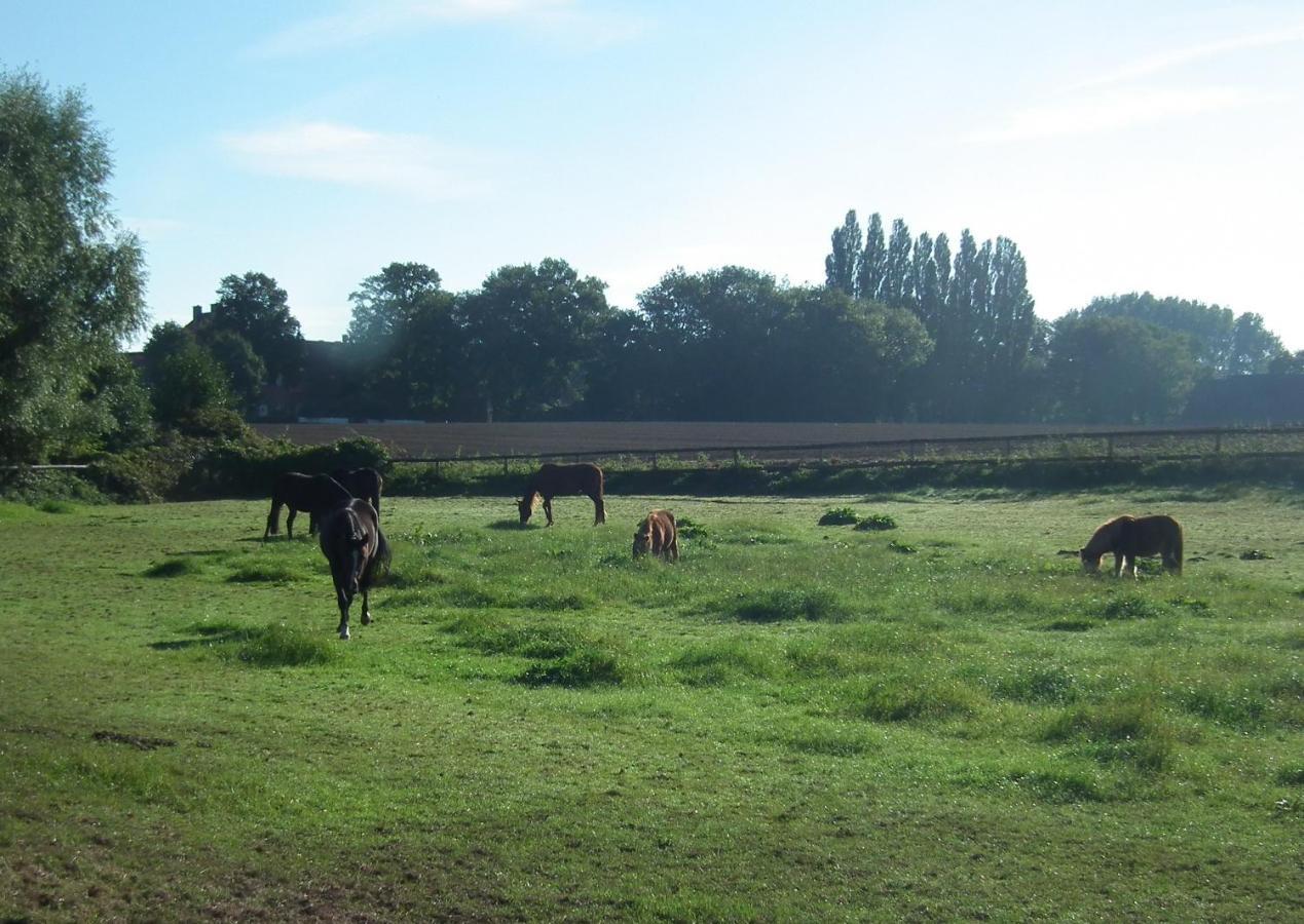 Ferienwohnung "Landblick" Ludinghausen Buitenkant foto