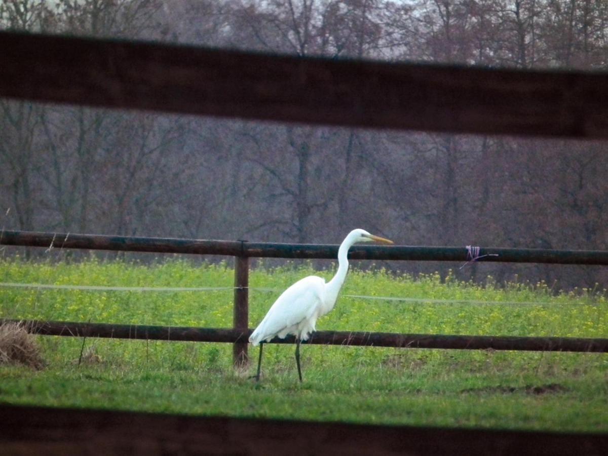 Ferienwohnung "Landblick" Ludinghausen Buitenkant foto