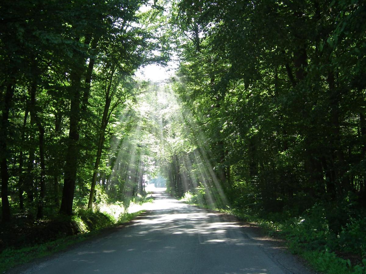 Ferienwohnung "Landblick" Ludinghausen Buitenkant foto